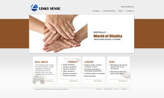 公司网站设计 打造专业、用户体验卓越的网页与网站